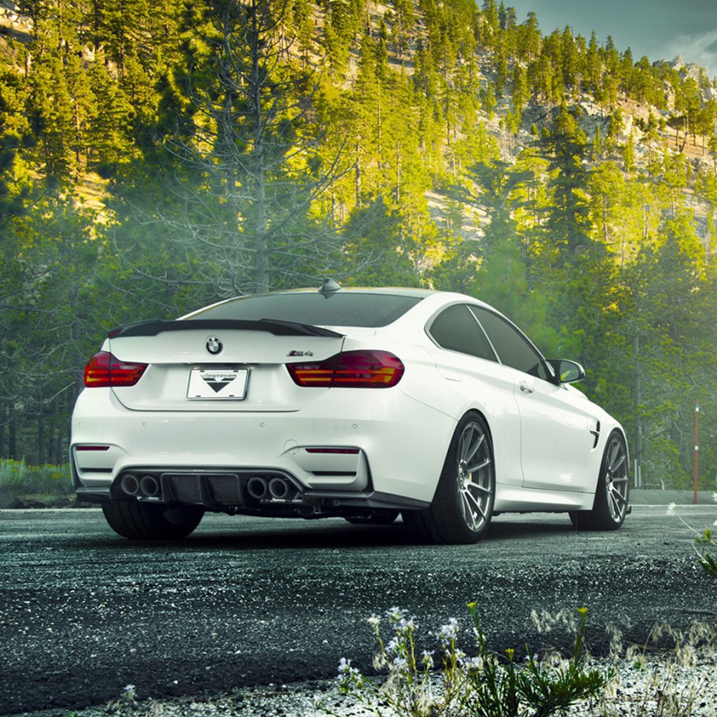 Vinyl Lens Tinting
